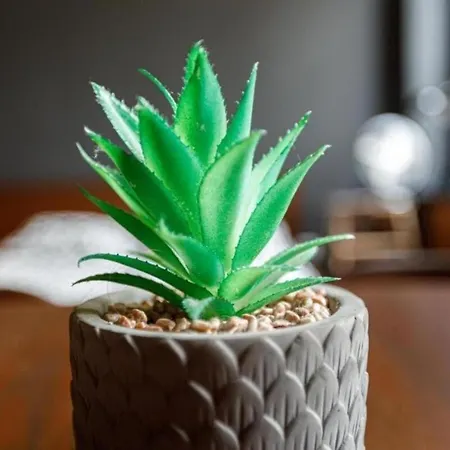 شقة Close-central - Main Rail Station - Kosciuszki 28