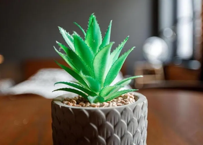 Apartman Close-central - Main Rail Station - Kosciuszki 28